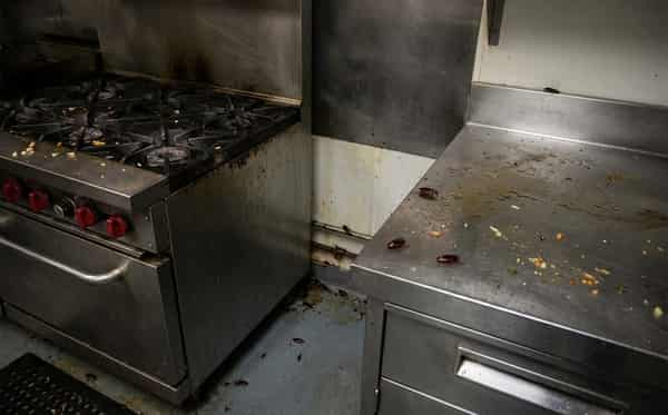 Napadení šváby před zásahem