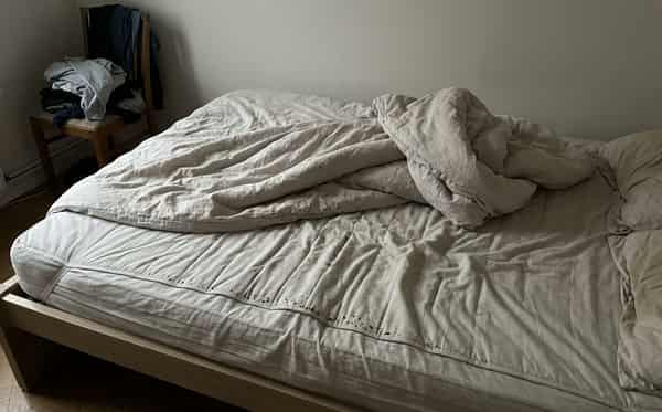 Dezinsekce štěnic v bytě